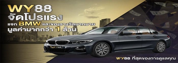 WY88-พันธมิตร-06